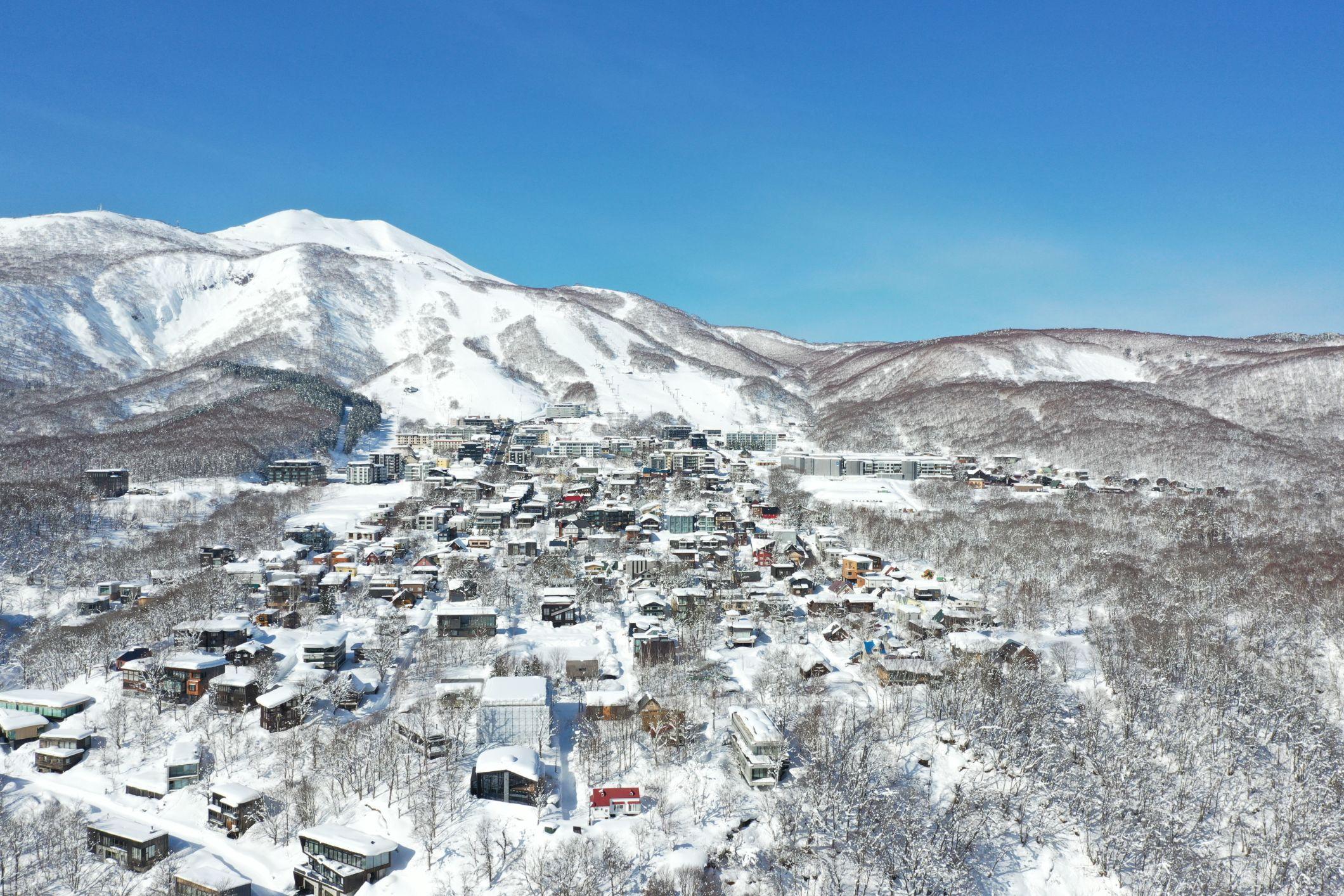 Niseko Real Estate KK cover